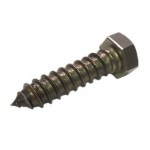 Stainless Lag Bolts